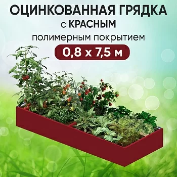 Грядка красная (0,8 х 7,5)